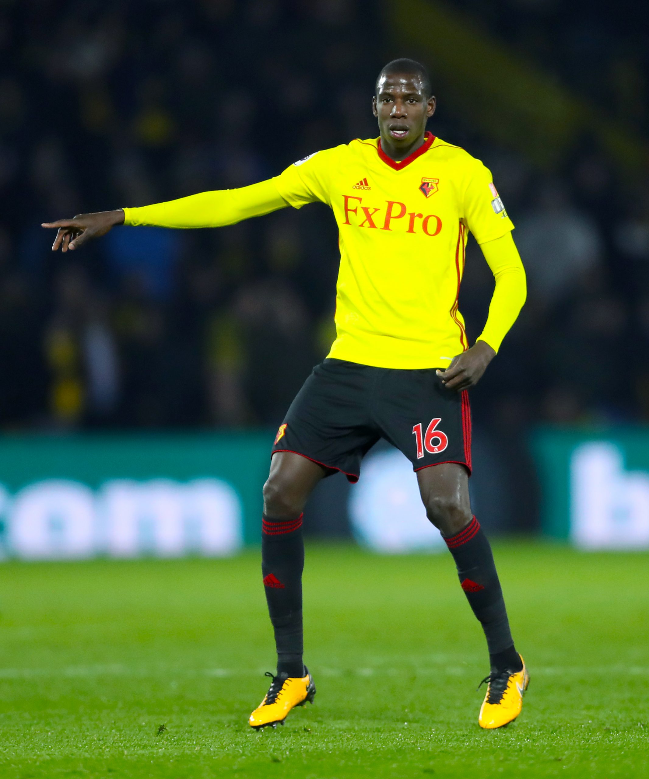 How Good is Watford's Abdoulaye Doucouré?
