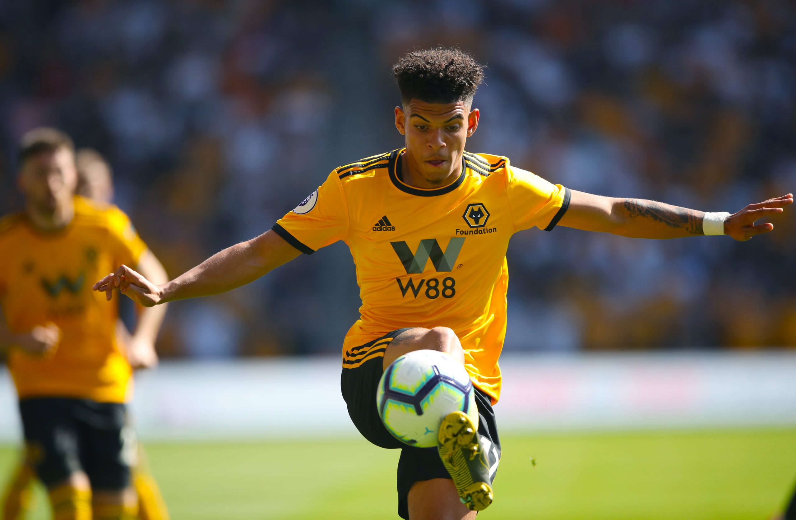 Can Wolves Leave the Chasing Pack and Join the Premier League’s Big Six?